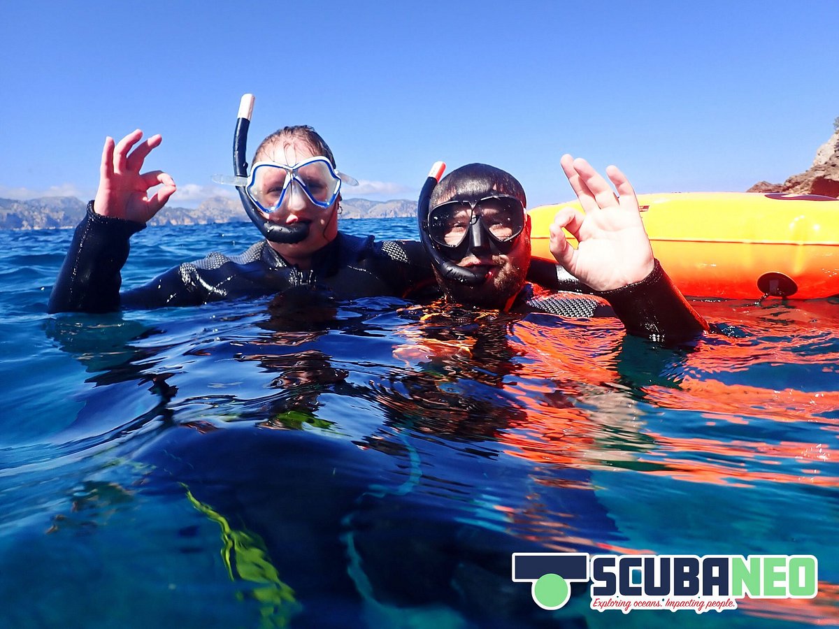 Tour de snorkel con guía (máscara, aletas, tubo, neopreno)