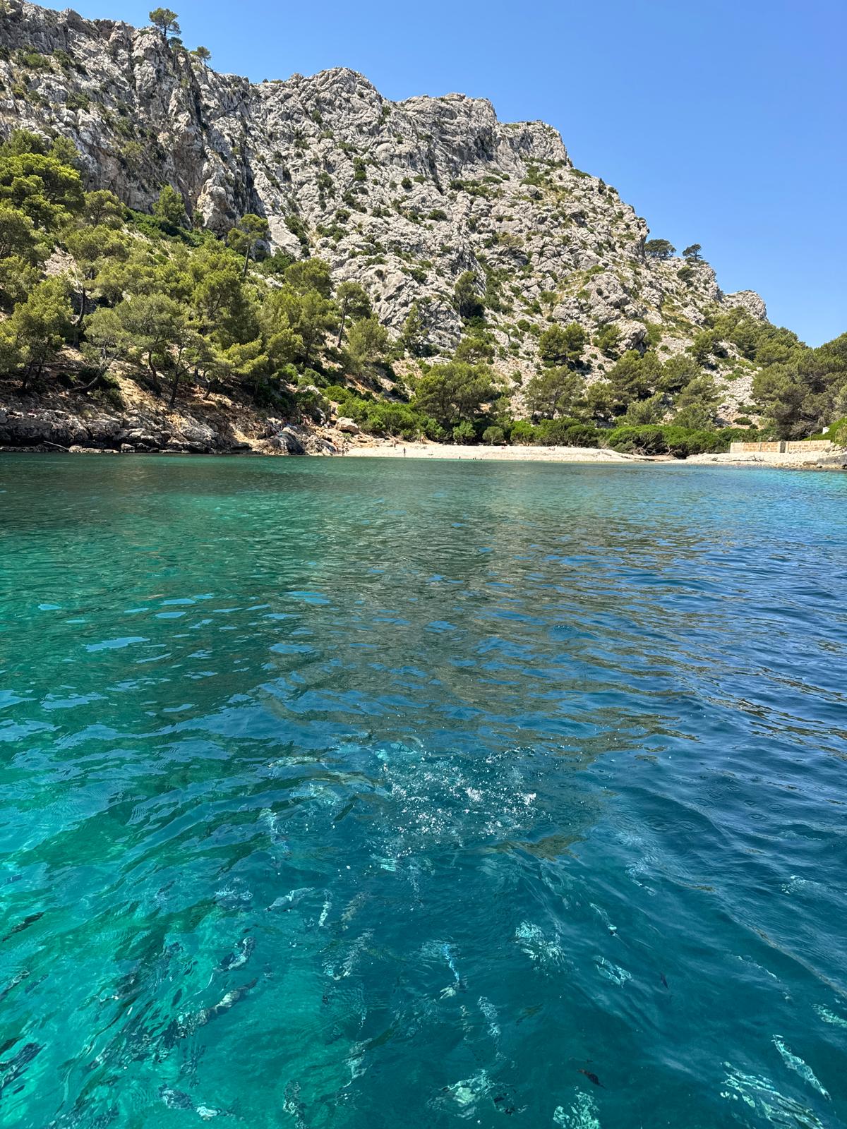 Excursión privada en Llaut Mallorquín de Madera (4h)