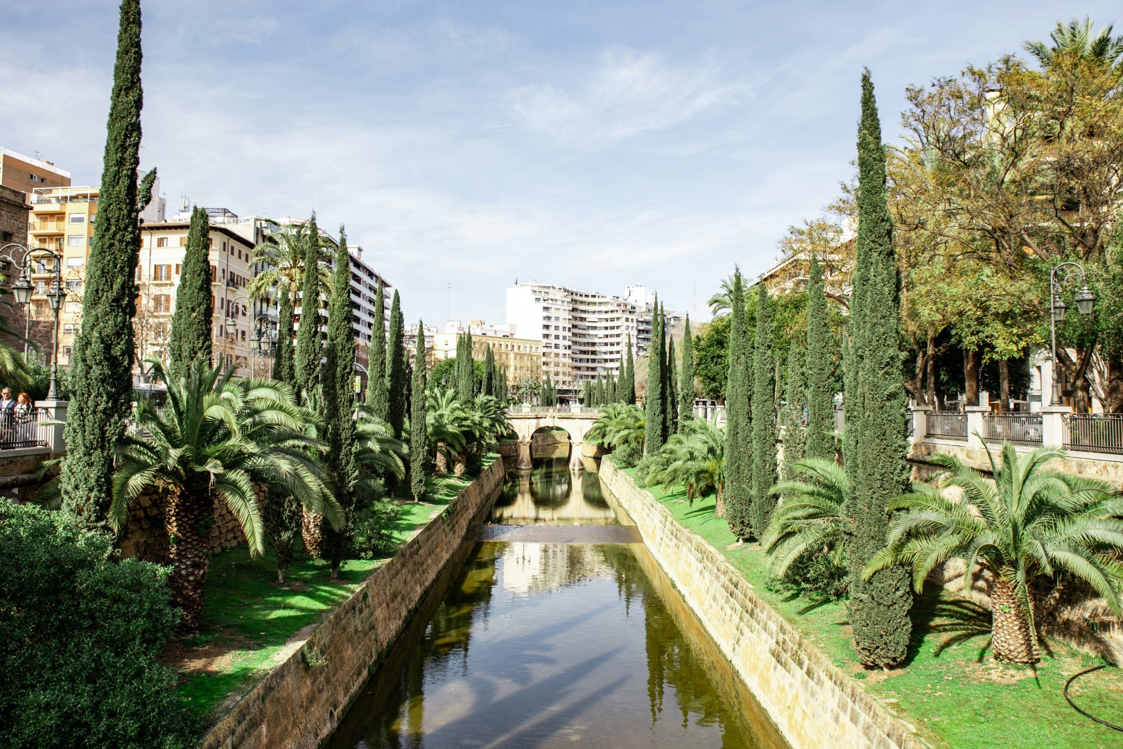 Palma a tu ritmo + Valldemossa